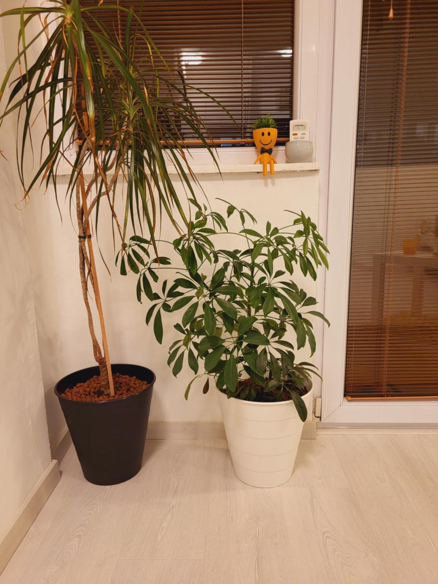 City Center White Apartment! Skopje Exterior photo